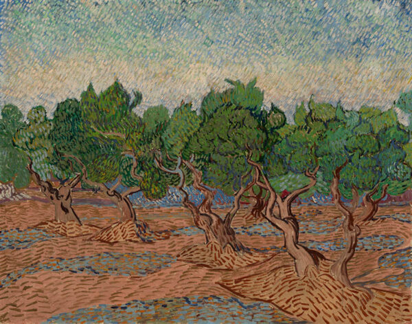 Vincent van Gogh - Olivenlund