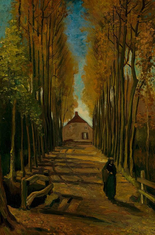 Vincent van Gogh - Poppelallé i efteråret