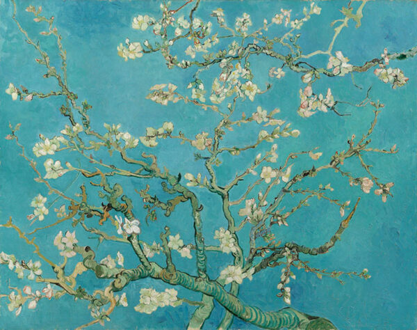 Vincent van Gogh - Mandelblomst