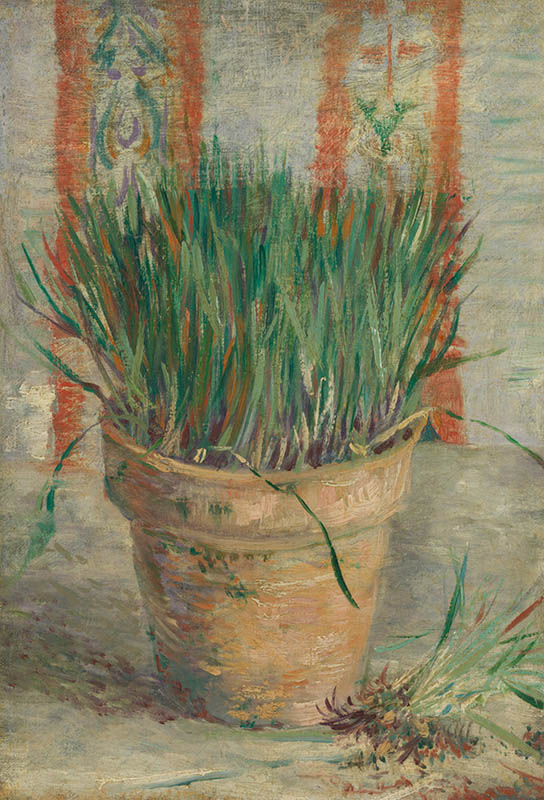 Vincent van Gogh - Blomsterpotte med hvidløgspur