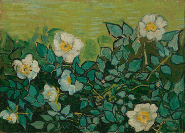 Vincent van Gogh - Vilde roser